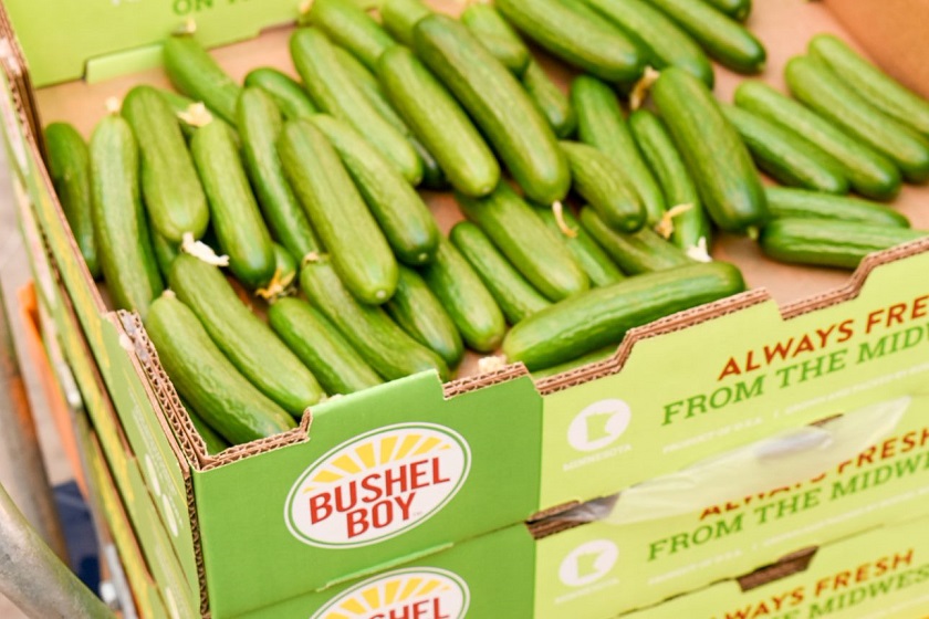 Bushel Boy Farms launches yearround greenhouse cucumbers The Packer